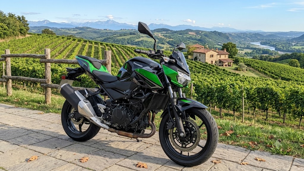 Kawasaki Z400 Motorrad vor Weinberg-Kulisse